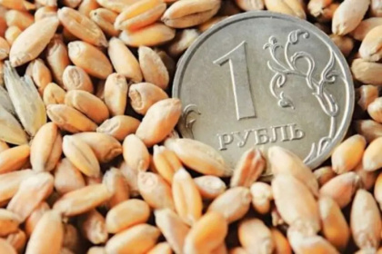 Российское зерно Турция встретит новыми пошлинами